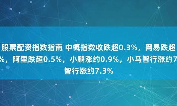 股票配资指数指南 中概指数收跌超0.3%,网易跌超1.8%,阿里跌超0.5%,小鹏涨约0.9%,小马智行涨约7.3%
